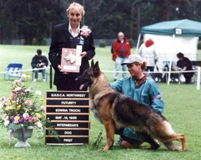 Stud Dogs in IN